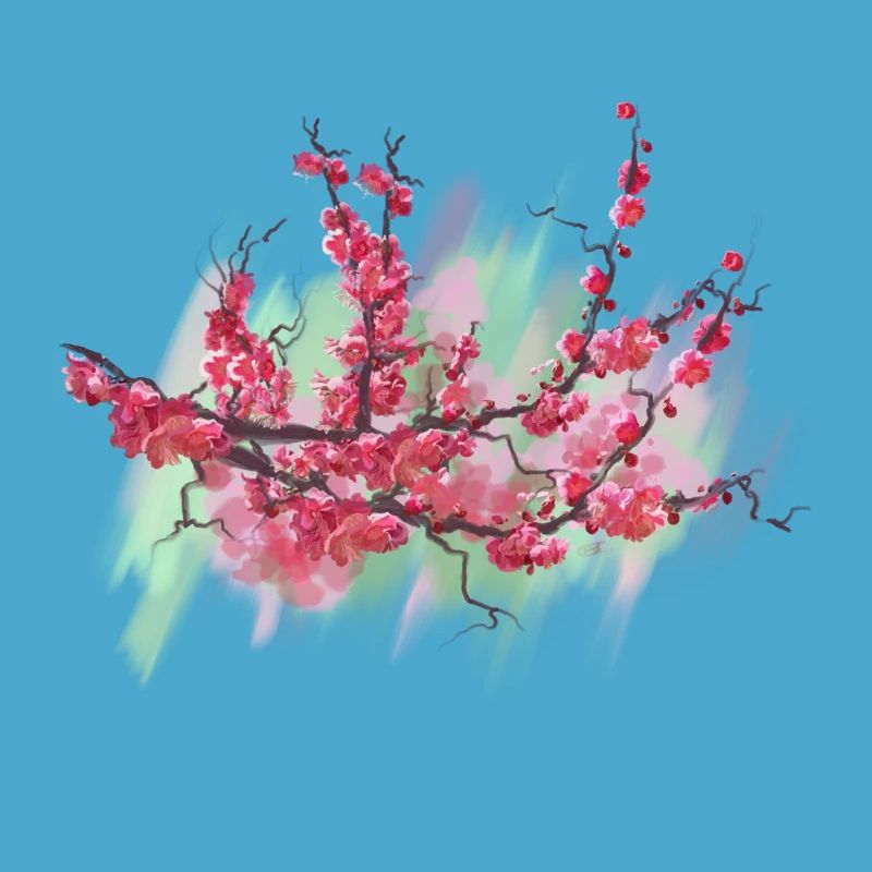 sakura