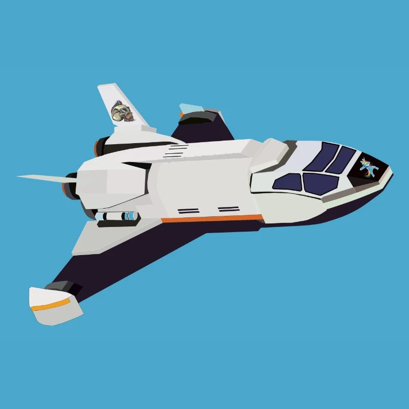 Space Shuttle Flug