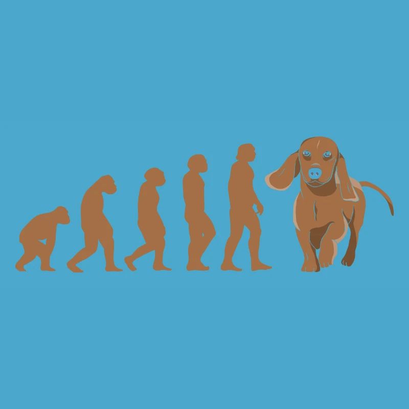 Teckel d’évolution