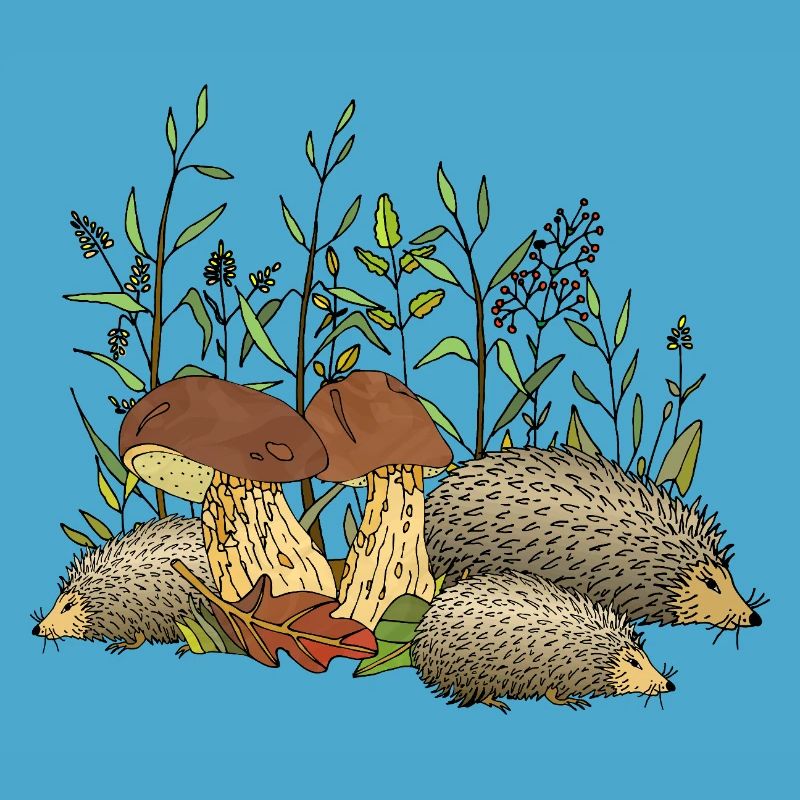 Hedgehogs
