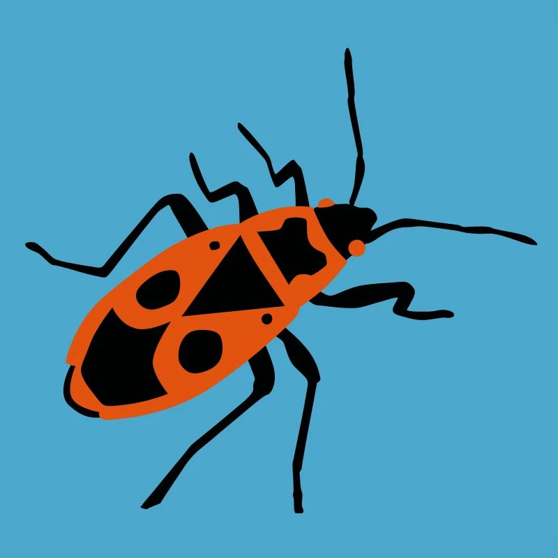 Fire beetle - insect - Firebug