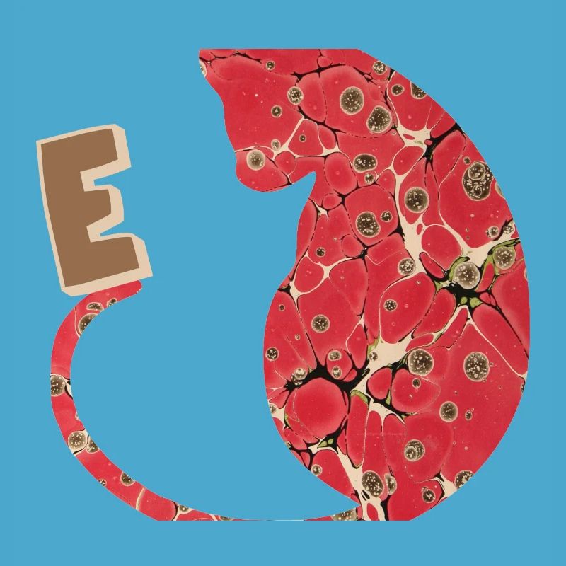 Letter E with Cat E 245