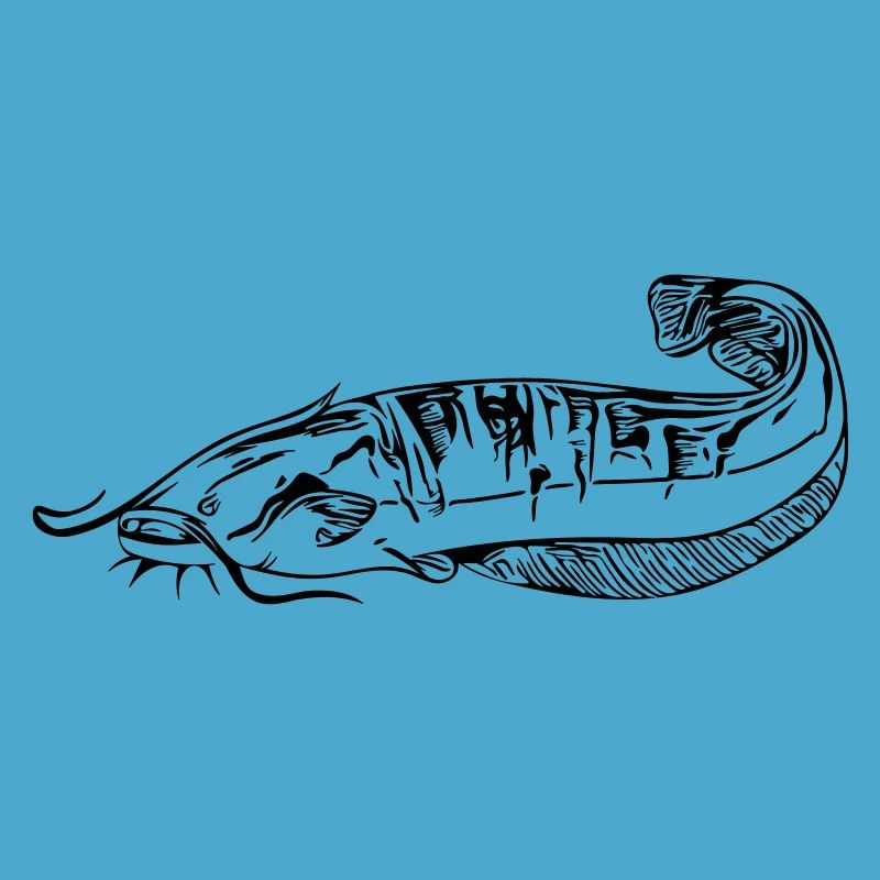 Silure - pêche silure