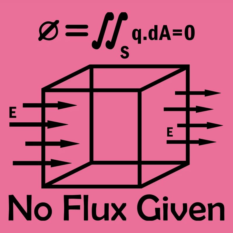 Mathematics Math Physicist