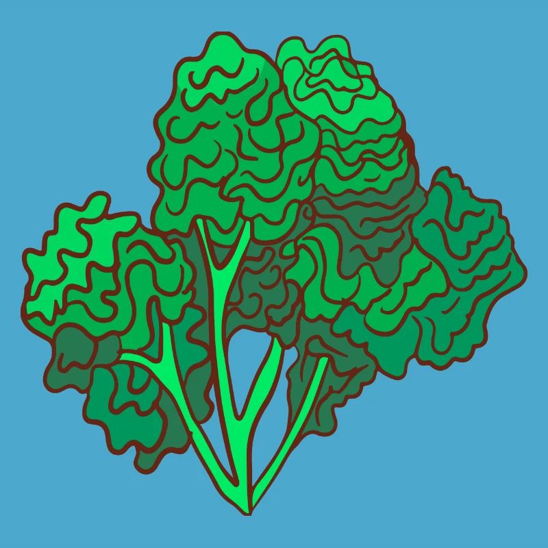 kale brown cabbage Cabbage Cabbage