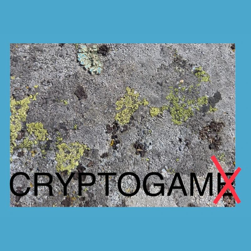 Cryptogam - not a cryptogame