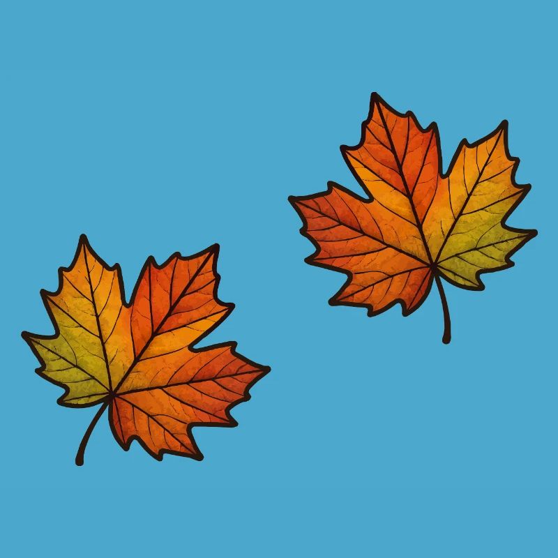 Leaf Autumn Maple Leaf 2