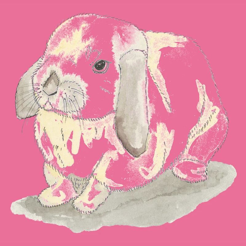 Lapins