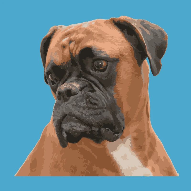 Boxer Triste