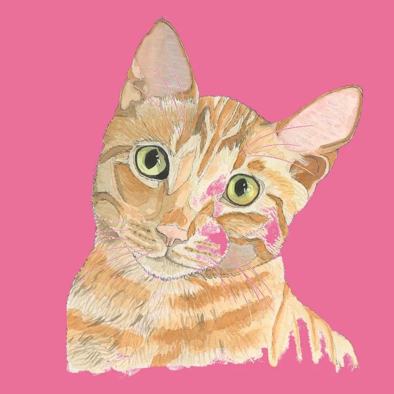 rote Katze