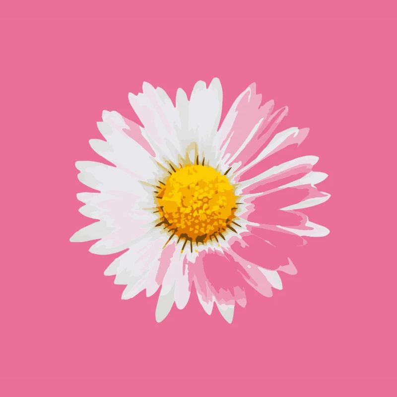 Gänseblümchen