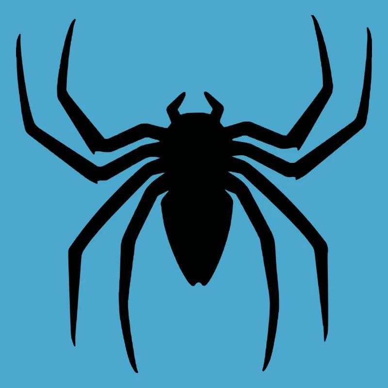 Black spider halloween gift idea