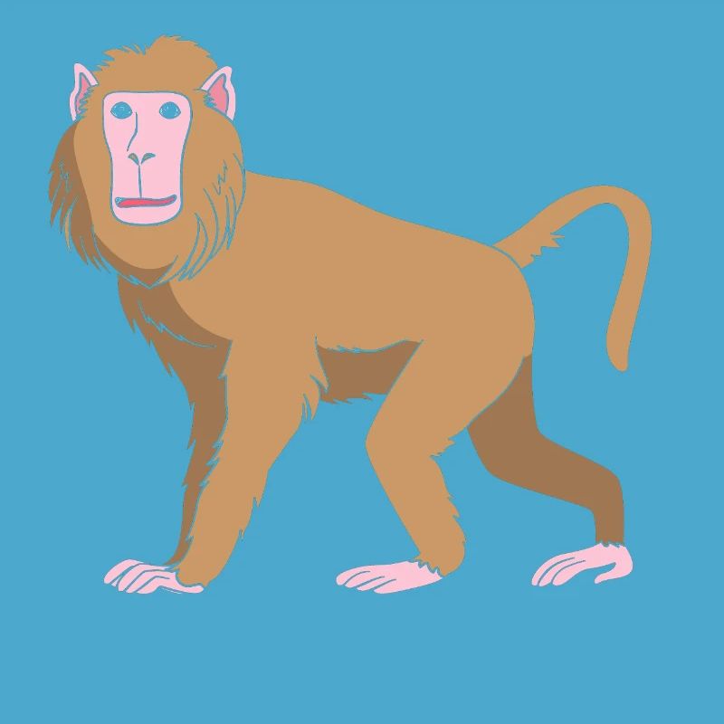 Baboon Baboon Primate Monkey Monkey