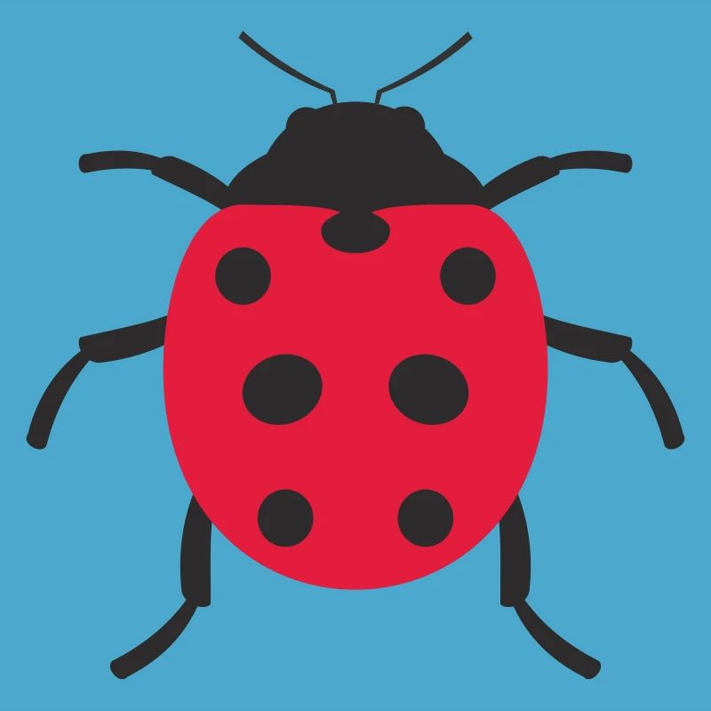 Conception de coccinelle