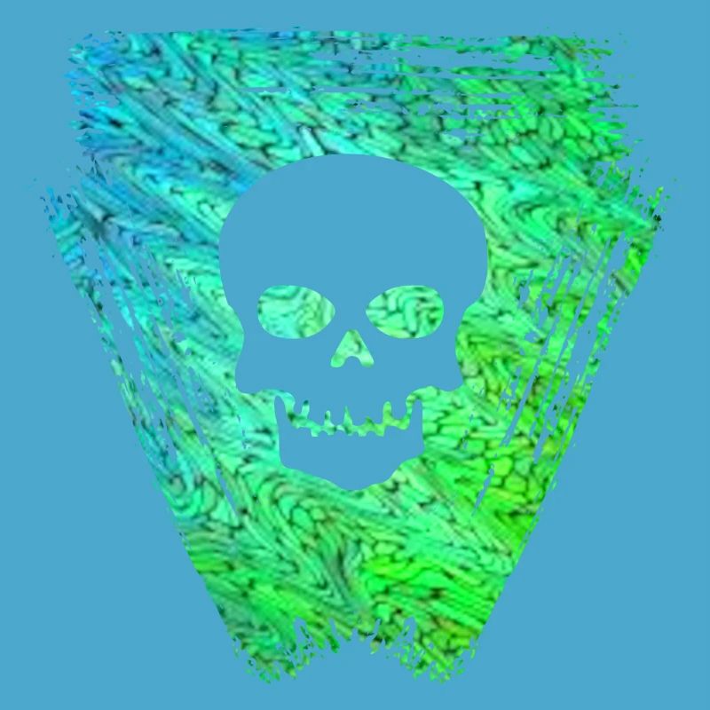 Skull 2 E 5