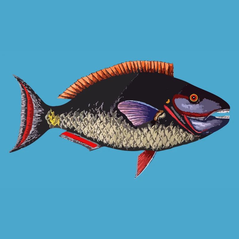 poisson