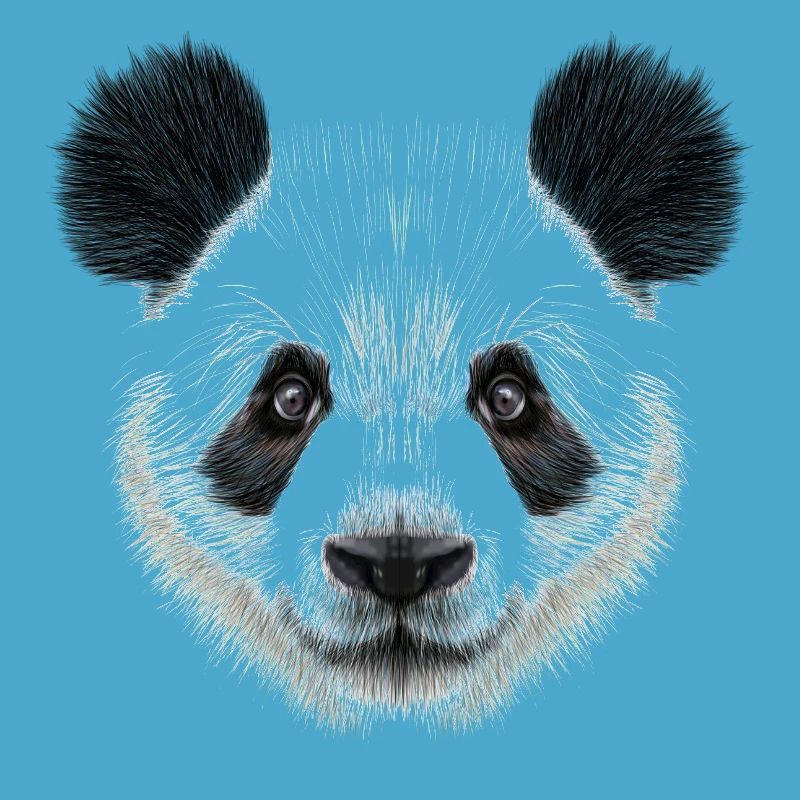 Panda Bear! Doux!