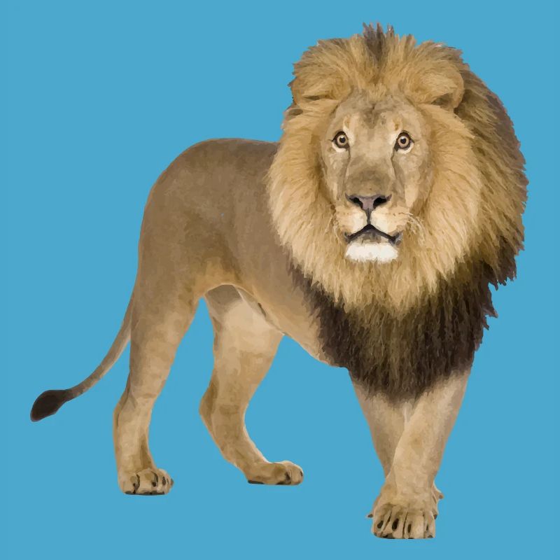 Löwe