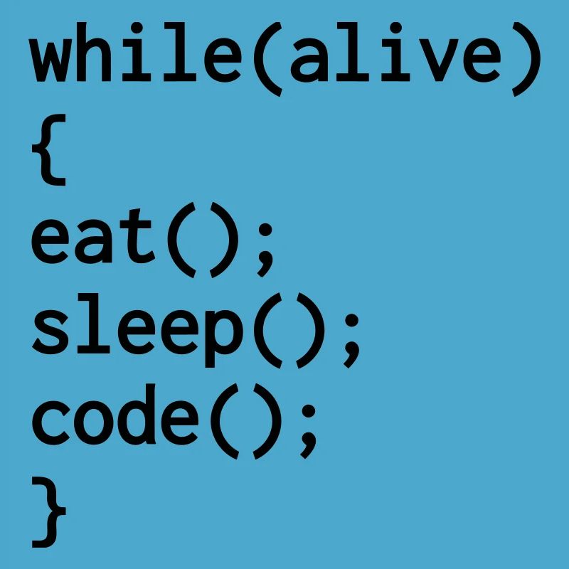 Entwickler / Informatiker / Programmierer /