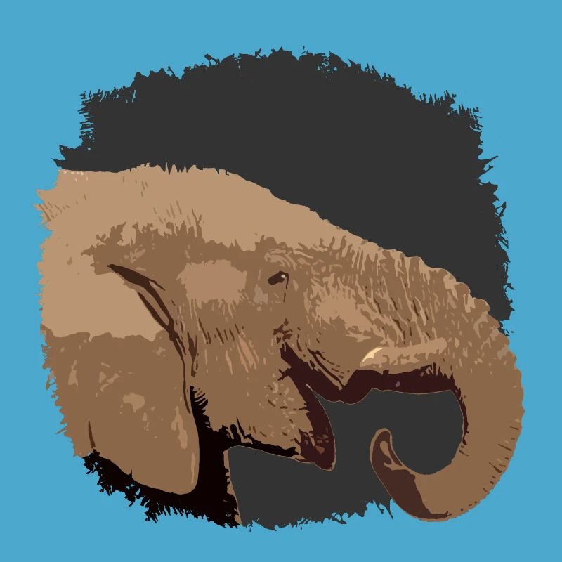 Elephant head with stylized look