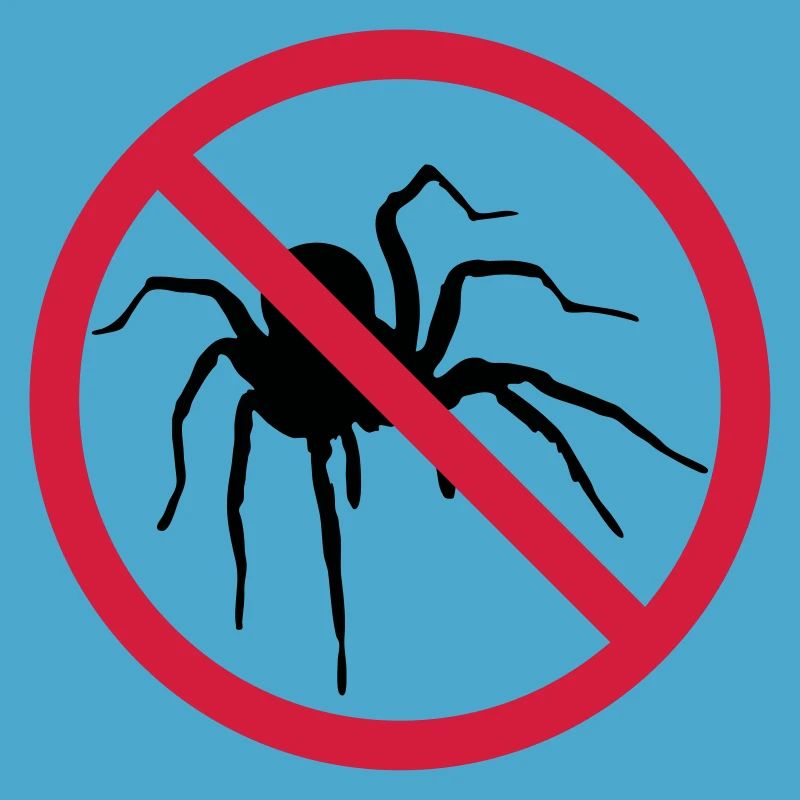 aucune araignée interdit bouclier conception araignée cl