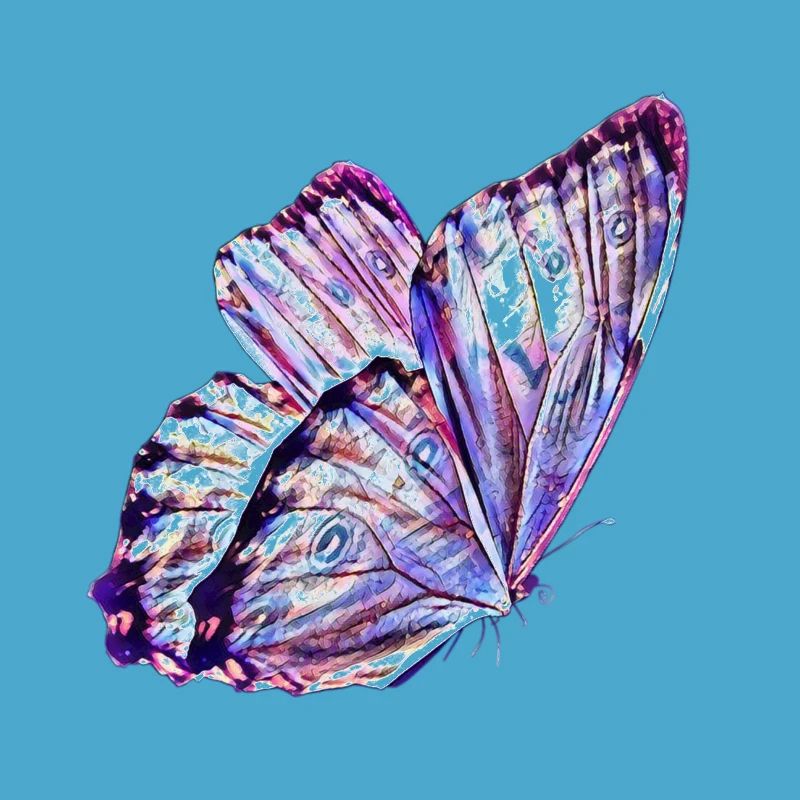 Papillon