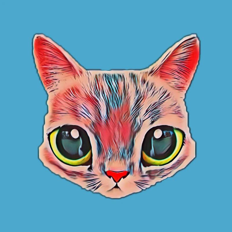 Chat