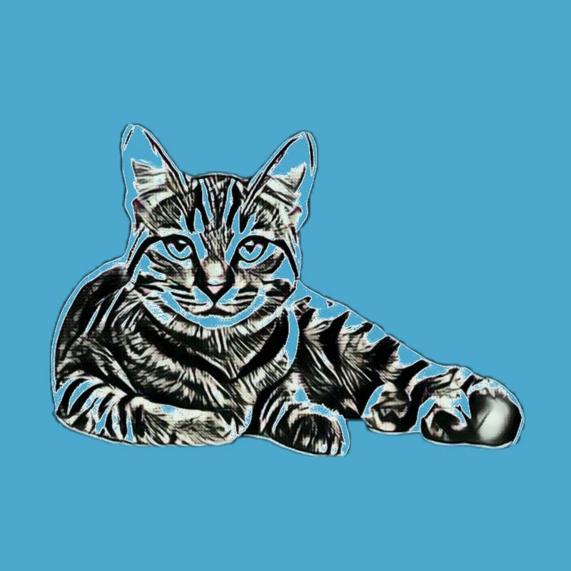 Chat