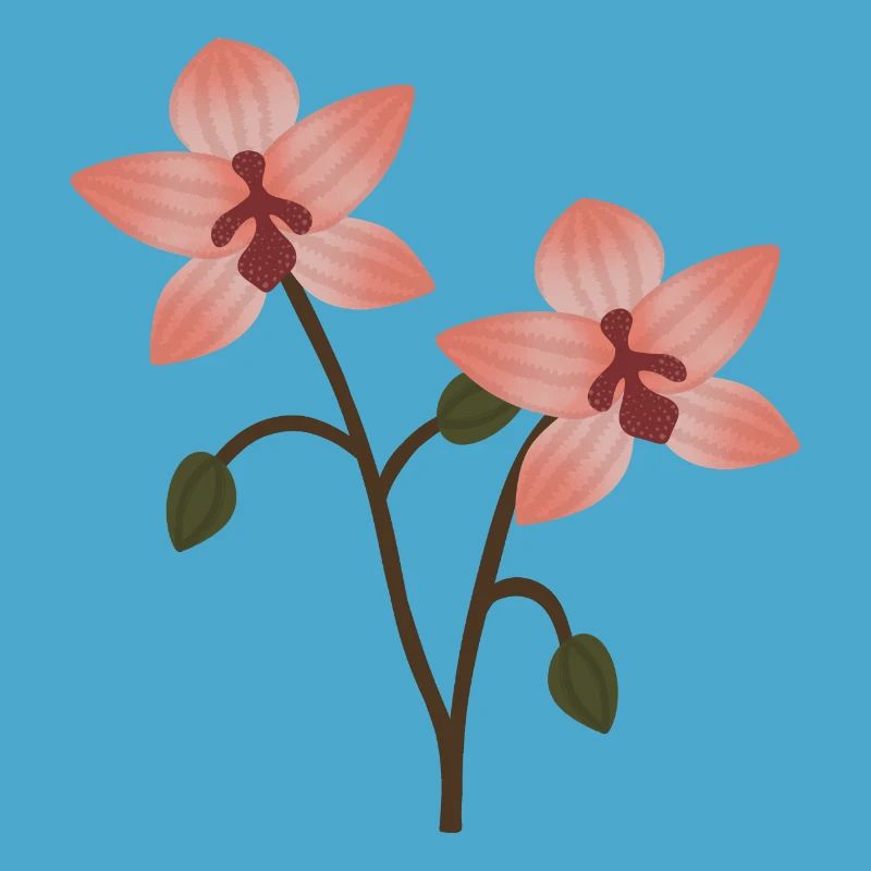 Fleur d’orchidée pastel