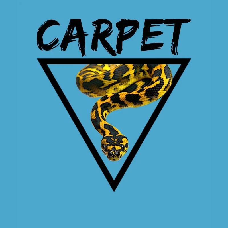 Teppichpython Geometrische Schlange Besitzer