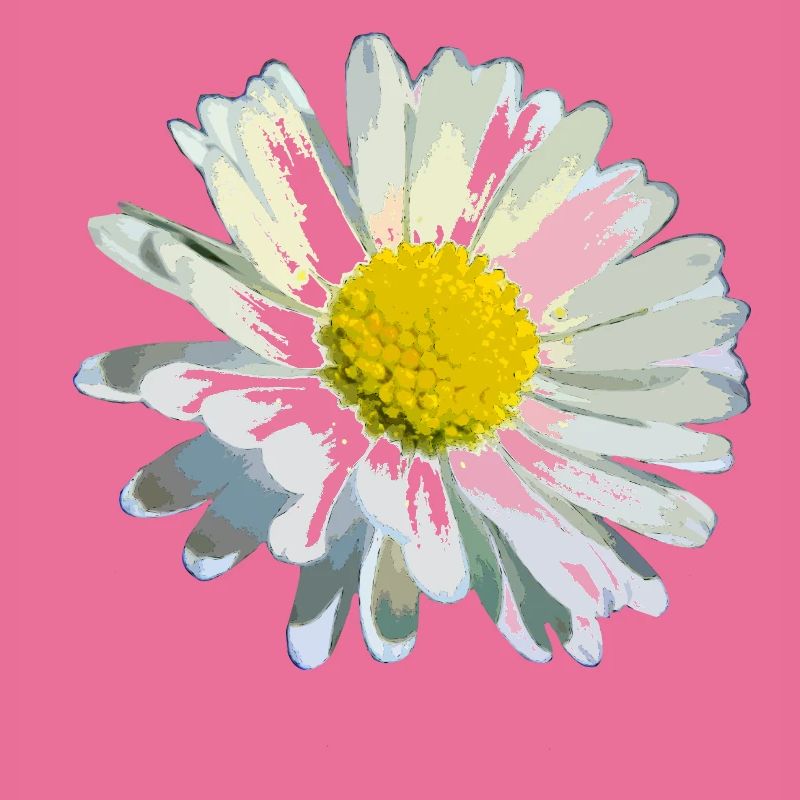 Gänseblümchen