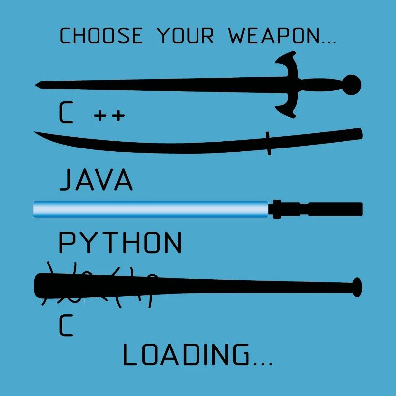 Coding Java programmeur profession cadeau