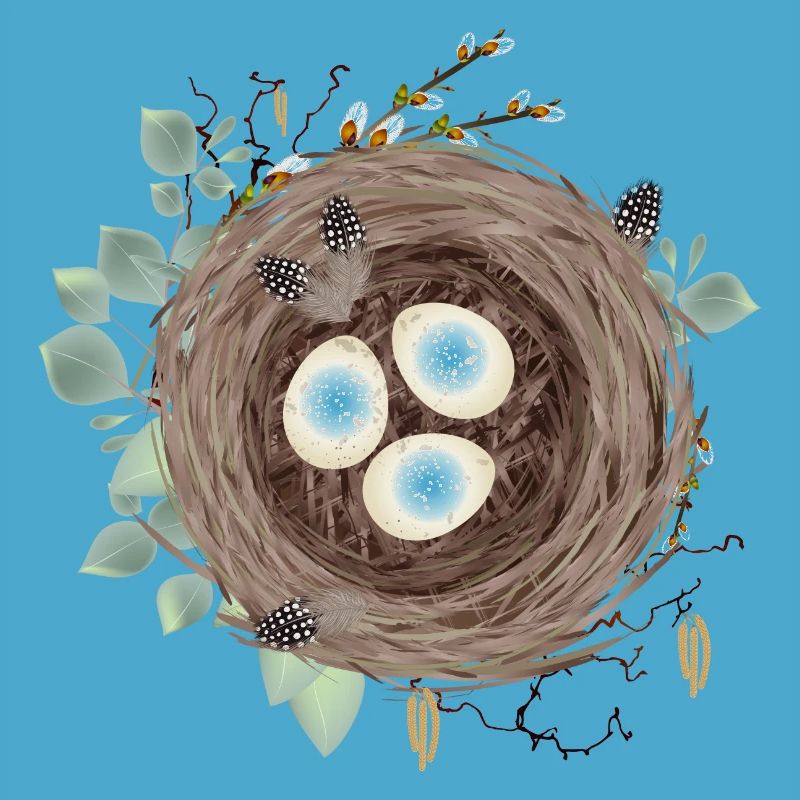 Bird's nest or Easter nest with three eggs and feathers