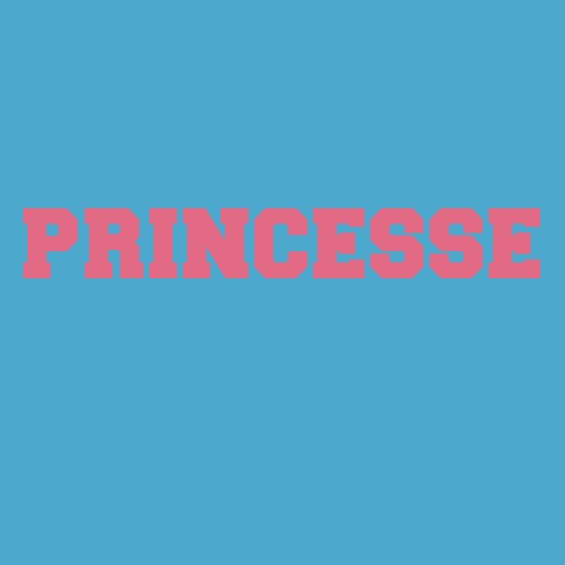 Princesse Comptable