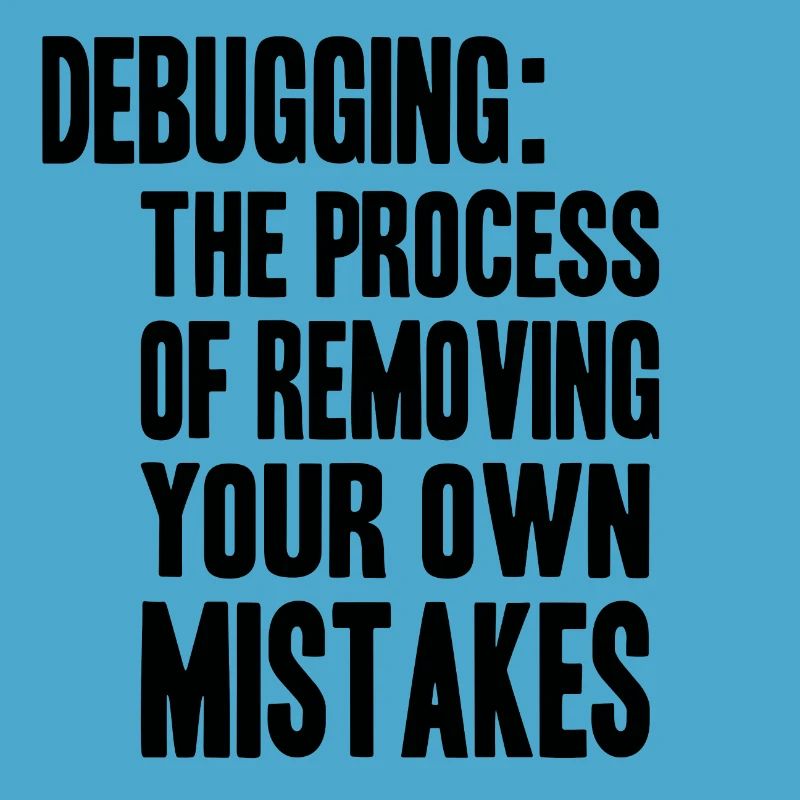 debugging process