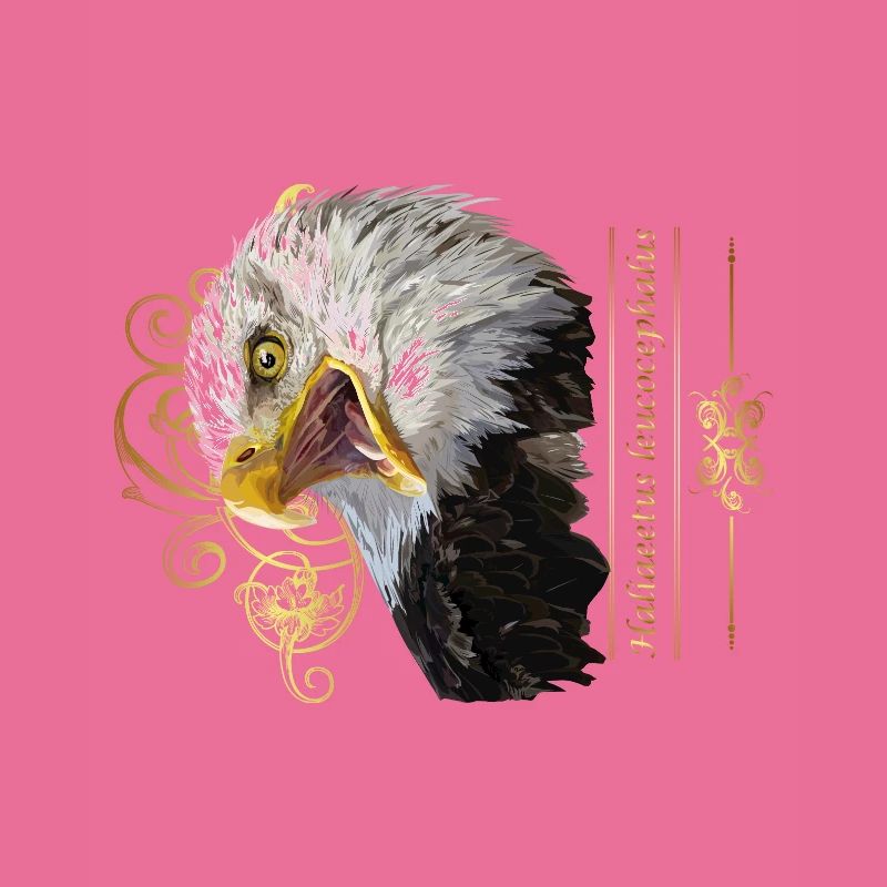 Bald eagle