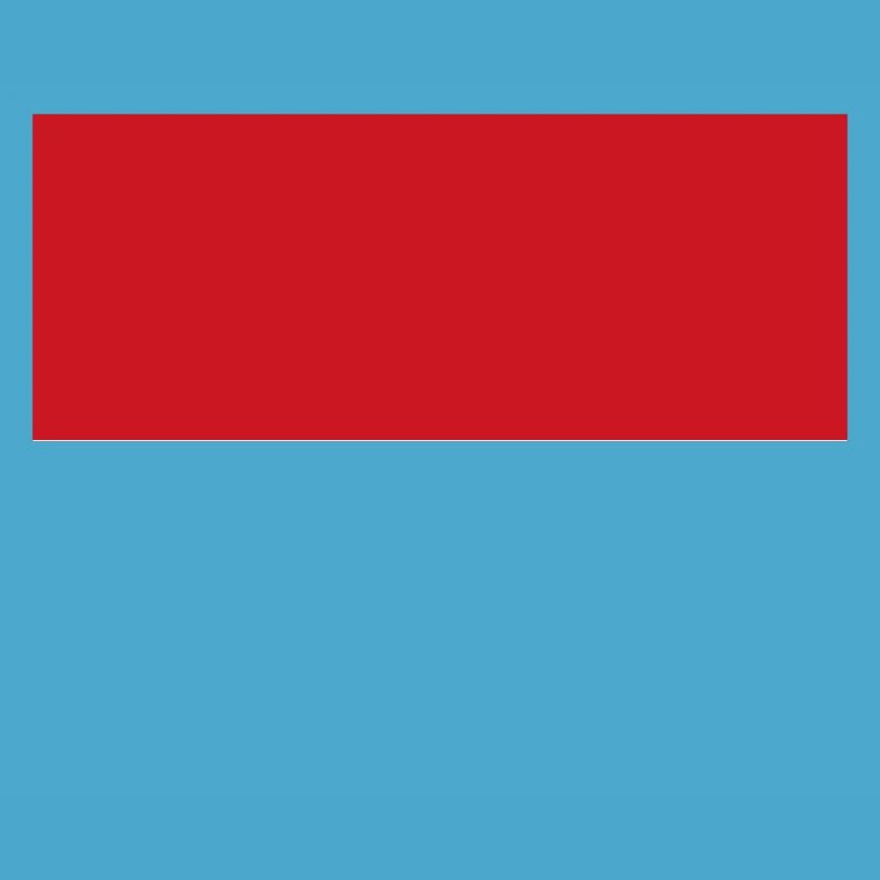 Monaco flag / Drapeau Monaco