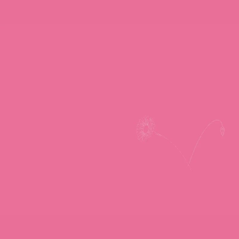 Lette e fleurs minimalistes