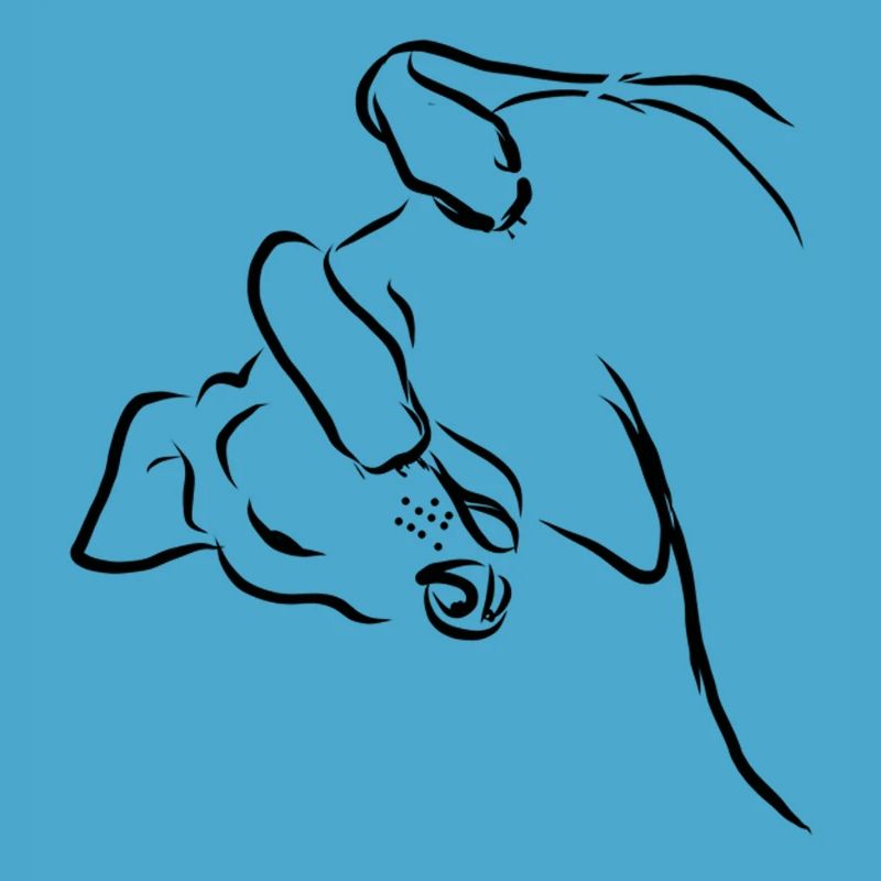 Die entspannte Position