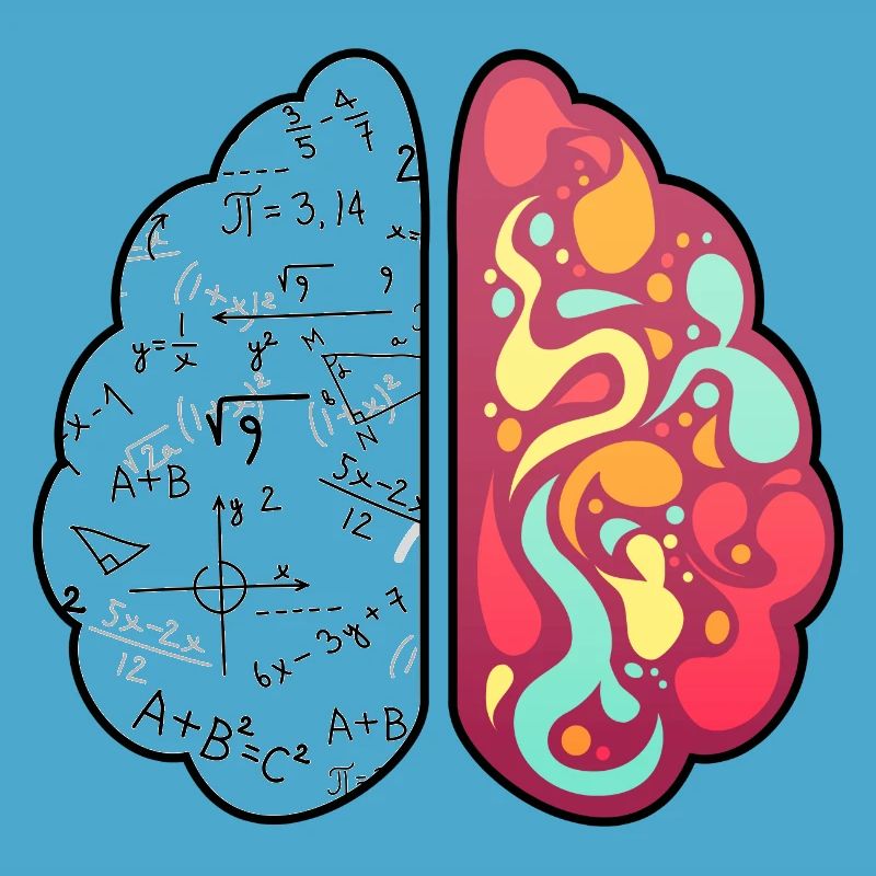 Math Lesson Mathematics Math Genius Math Brain