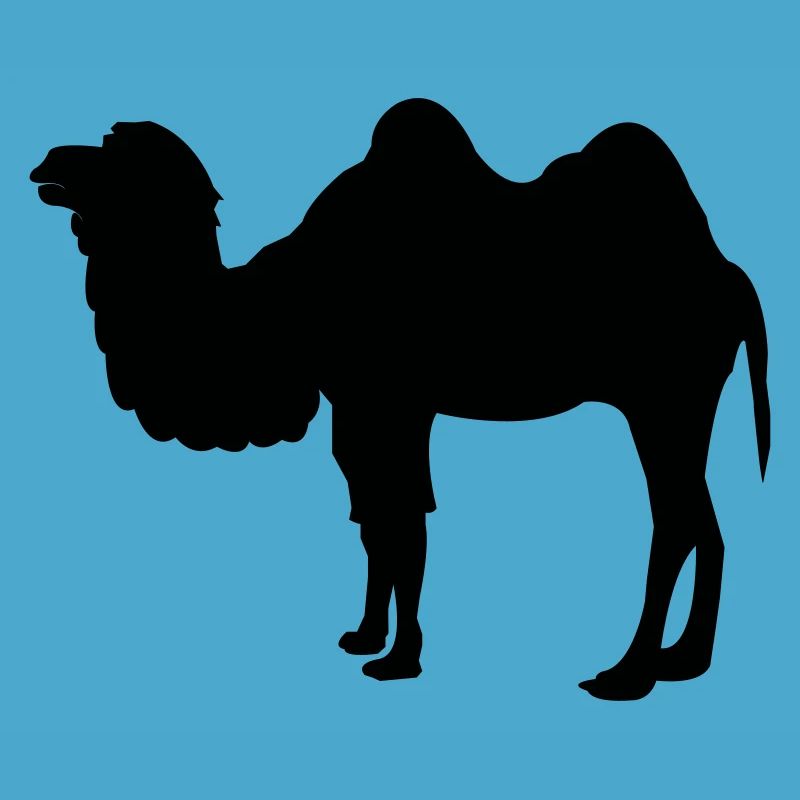kamel