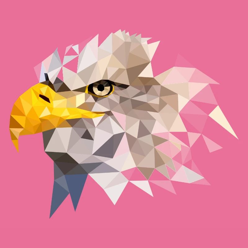 Bald Eagle Sea Eagle American Eagle Eagle