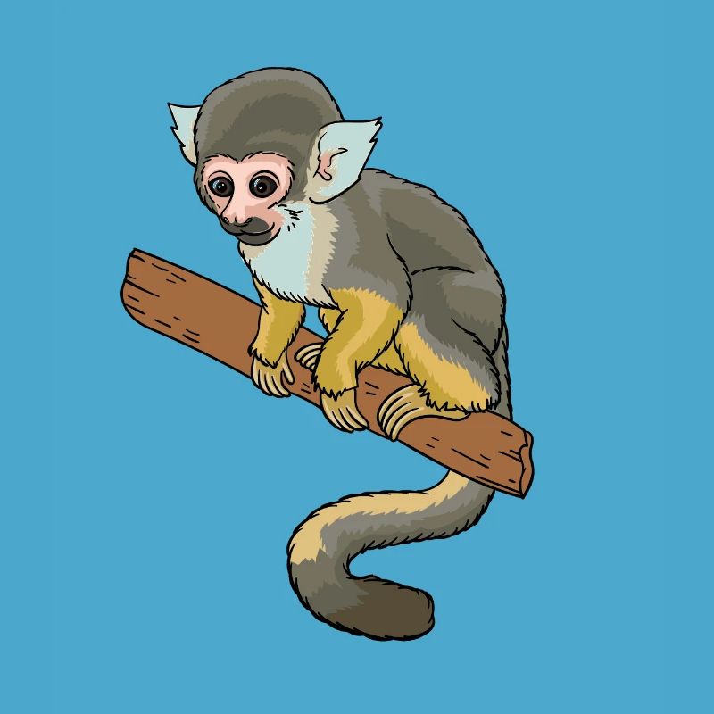 Squirrel monkey squirrel monkey primate