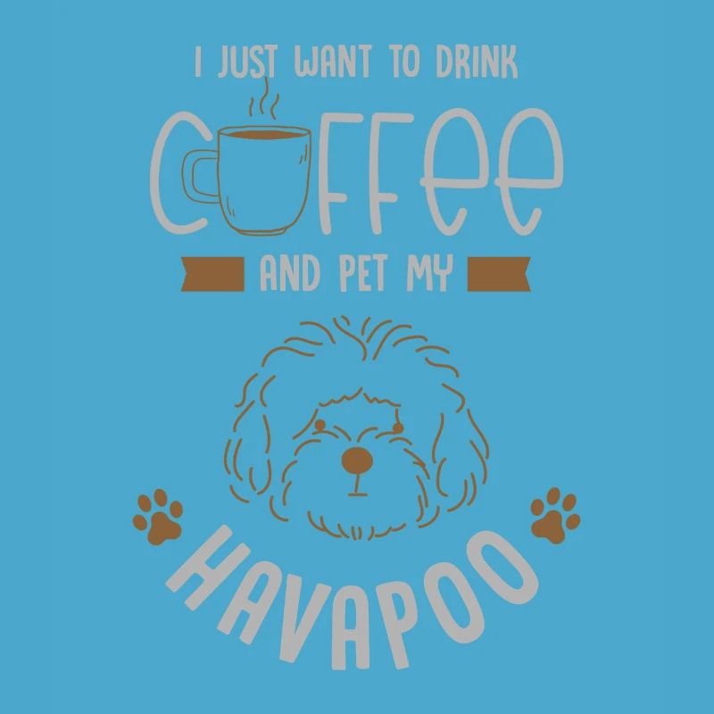 havapoo, havapoo Havanese, poodle,