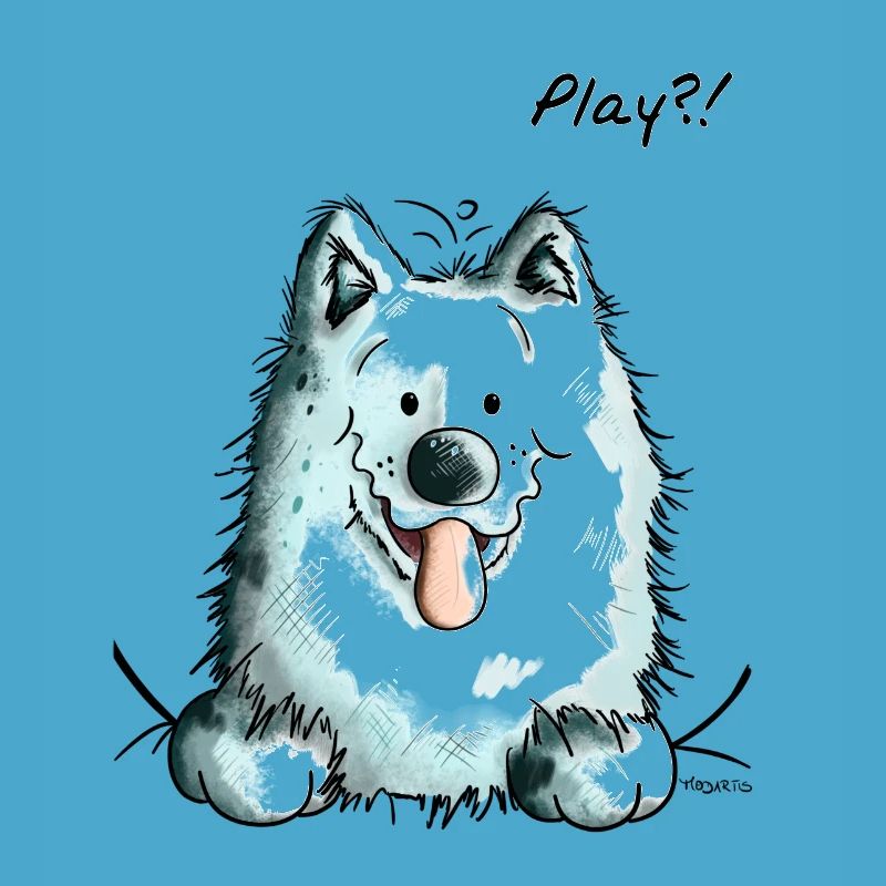Samoyed Play - Samoyeds - Sabaka - Sobaka