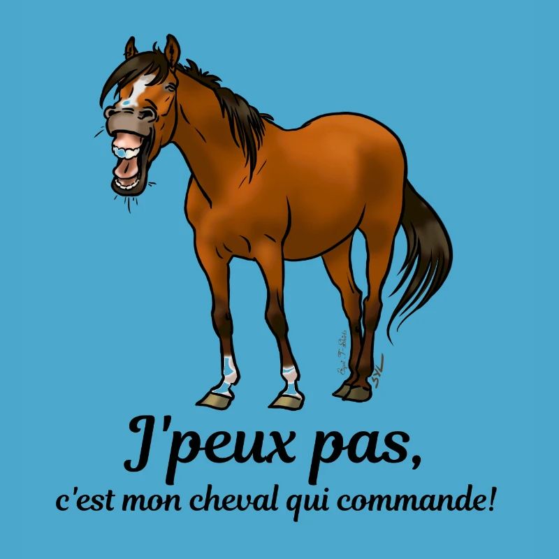 Mon cheval commande