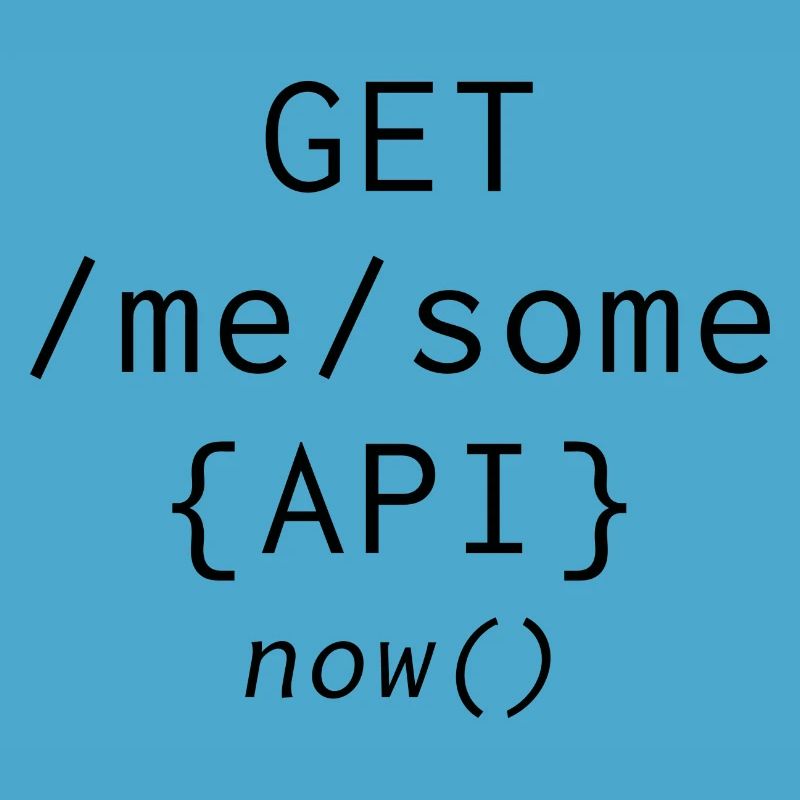 Api Programming Informatic Geschenk Spruch