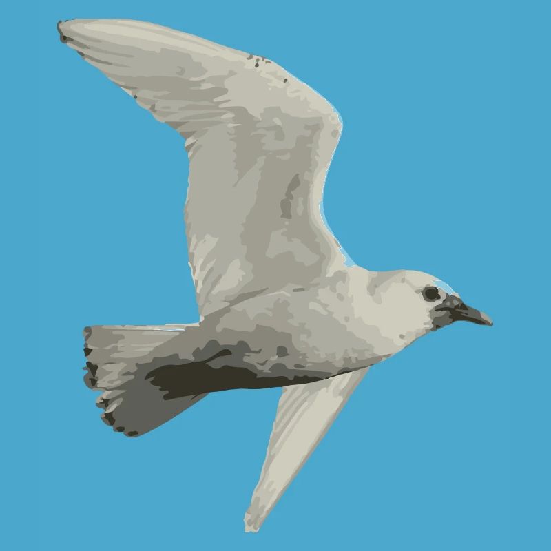 Vogel