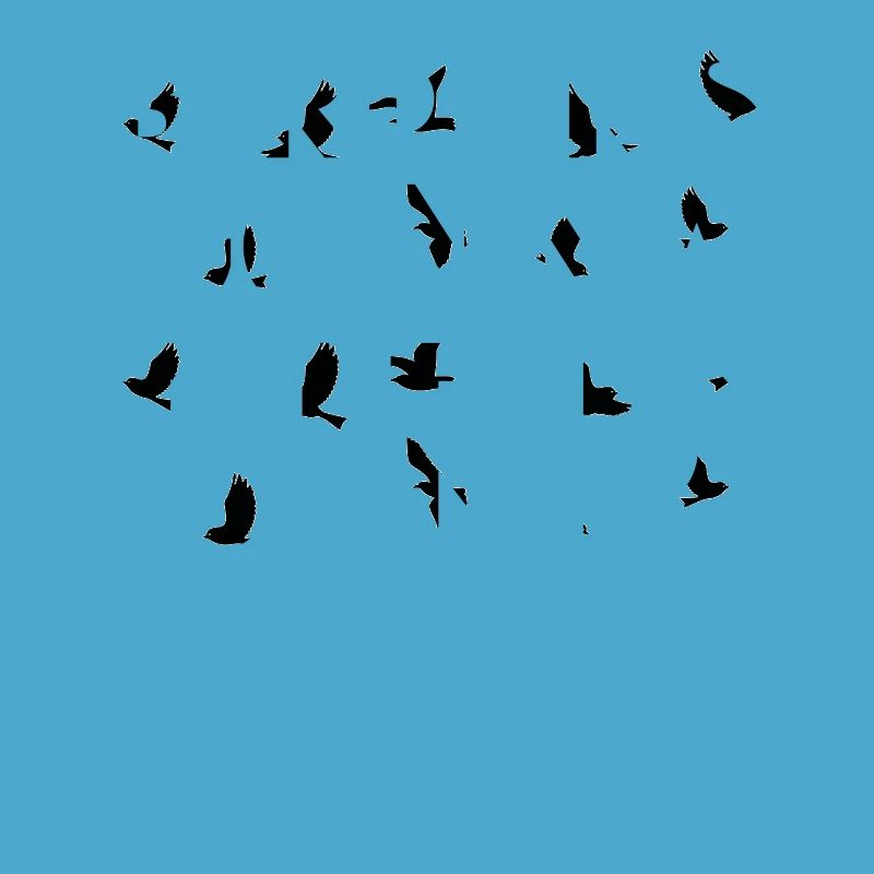 Observation des oiseaux - Observation des oiseaux - Oiseaux - Observation des oiseaux