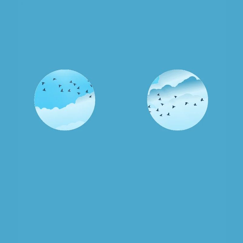 Observation des oiseaux - Observation des oiseaux - Oiseaux - Observation des oiseaux